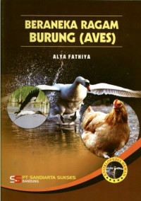 Beraneka Ragam Burung (AVES)
